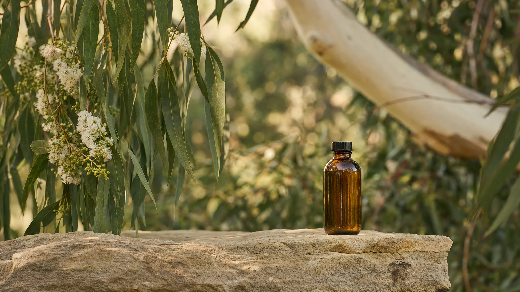 Does Lemon Eucalyptus Repellent Expire?
