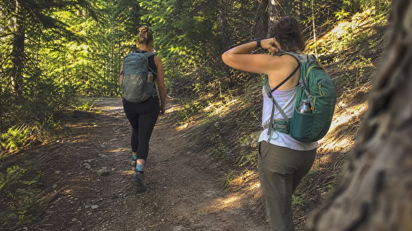 Bug Protection for Hiking and Camping