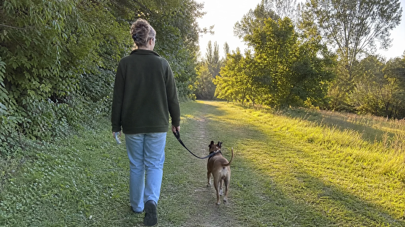 Is Lemon Eucalyptus Safe for Dogs?