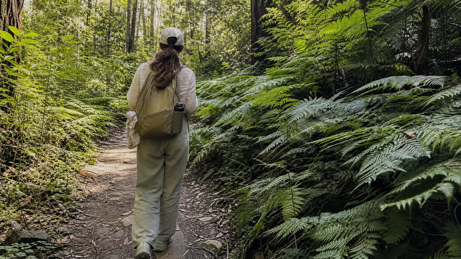 Does Bug Spray Help With Lyme Disease Prevention?