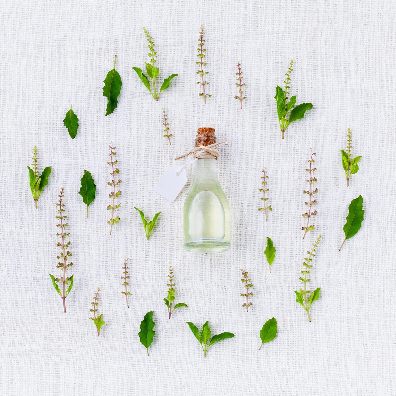 What Blends Well With Lemon Eucalyptus? 12 Bright Partners